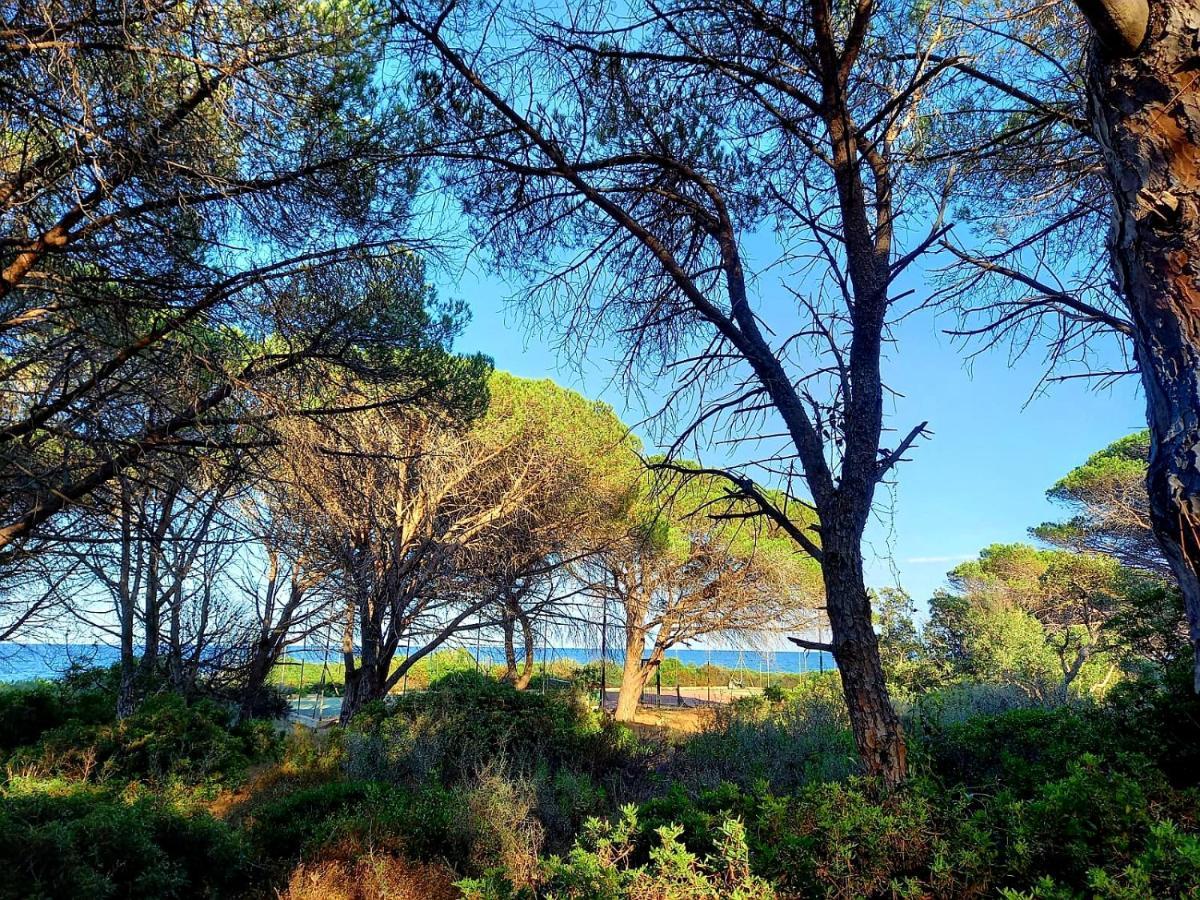 Villa Vista Pineta - 90 Mt Dalla Spiaggia Budoni Luaran gambar