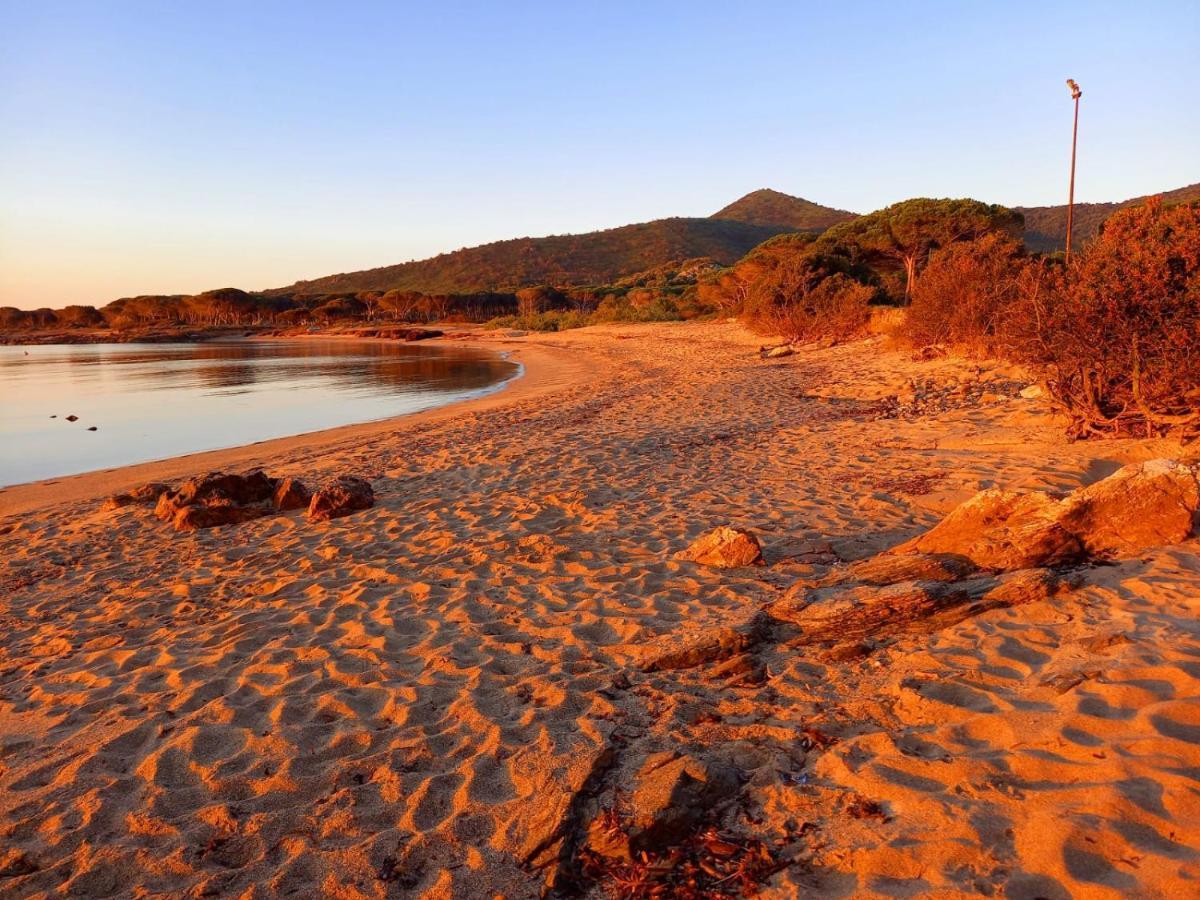 Villa Vista Pineta - 90 Mt Dalla Spiaggia Budoni Luaran gambar