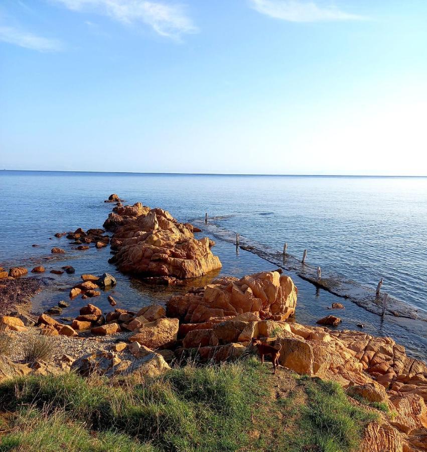 Villa Vista Pineta - 90 Mt Dalla Spiaggia Budoni Luaran gambar