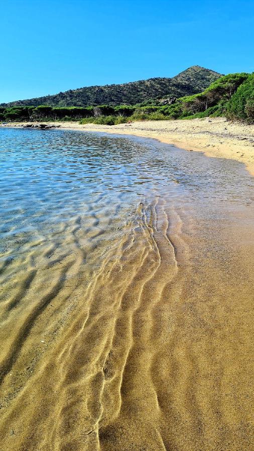 Villa Vista Pineta - 90 Mt Dalla Spiaggia Budoni Luaran gambar