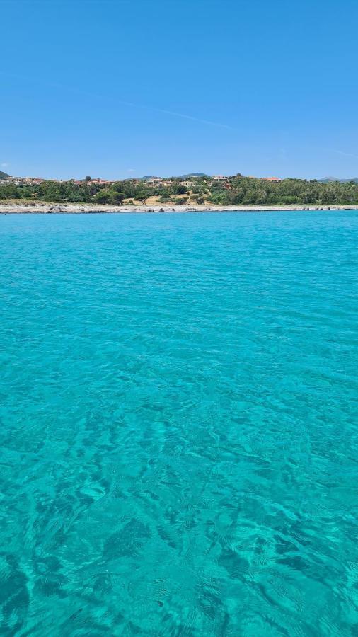Villa Vista Pineta - 90 Mt Dalla Spiaggia Budoni Luaran gambar