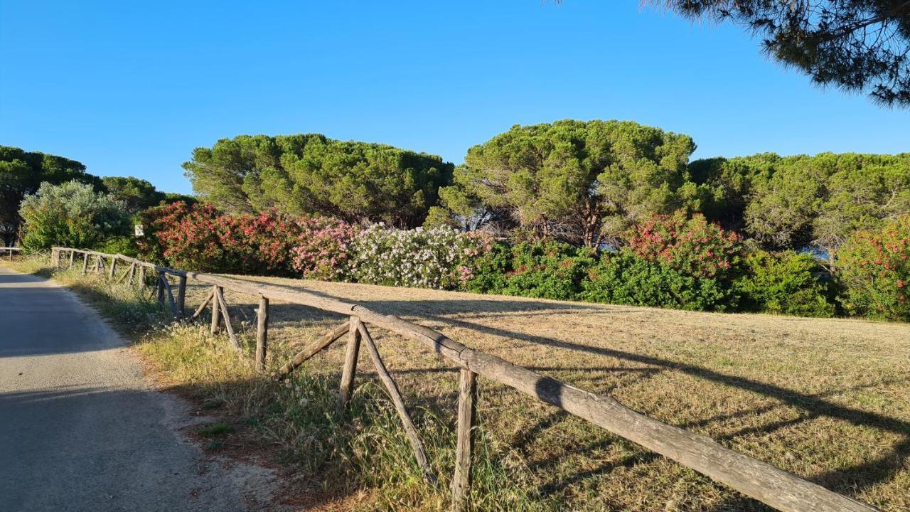 Villa Vista Pineta - 90 Mt Dalla Spiaggia Budoni Luaran gambar