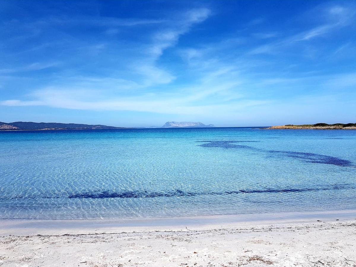 Villa Vista Pineta - 90 Mt Dalla Spiaggia Budoni Luaran gambar