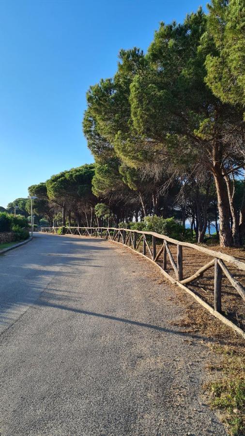 Villa Vista Pineta - 90 Mt Dalla Spiaggia Budoni Luaran gambar