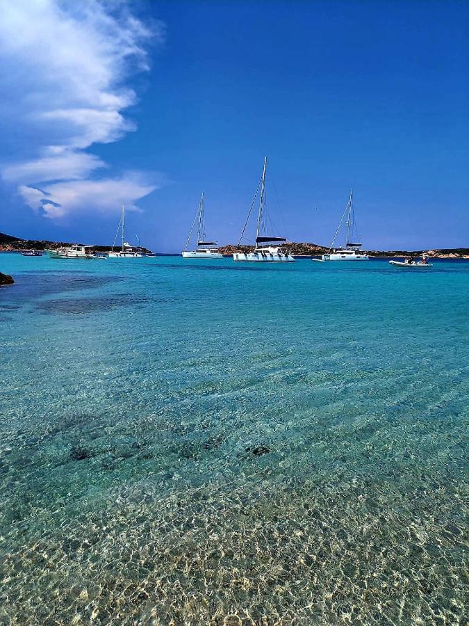 Villa Vista Pineta - 90 Mt Dalla Spiaggia Budoni Luaran gambar