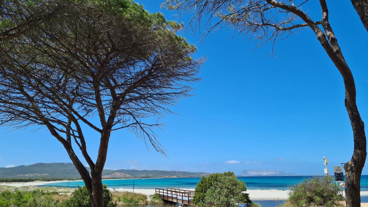Villa Vista Pineta - 90 Mt Dalla Spiaggia Budoni Luaran gambar